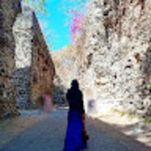 Meet your Posher, Dini